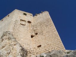 Castillo de Mula 2010